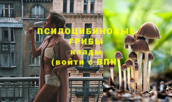 jwh Белокуриха