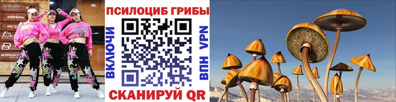 hydra как зайти  Конаково  Галлюциногенные грибы GOLDEN TEACHER 
